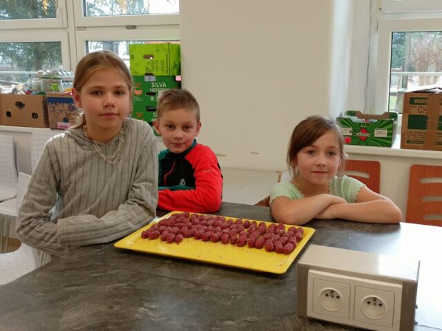 IMG20251121111728